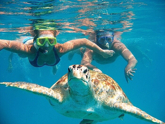 Best snorkeling spots in Tenerife
